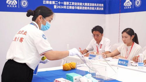 云南省家政服務(wù)技能大賽暨家政進(jìn)社區(qū)推廣示范活動(dòng)啟動(dòng)